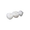 Nifty Medidenta - 3D Printing - Resins - Rodin® RapidCeram - Gallery 02