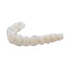 Nifty Medidenta - 3D Printing - Resins - Rodin® RapidCeram - Gallery 04